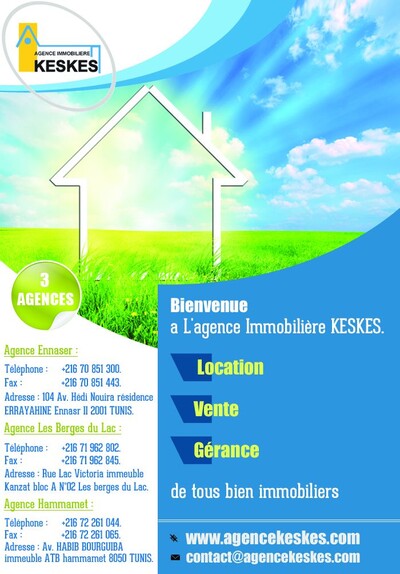 AGENCE IMMOBILIERE KESKES