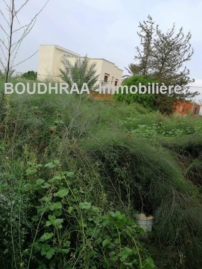 Terrain à Borj Touil a vendre