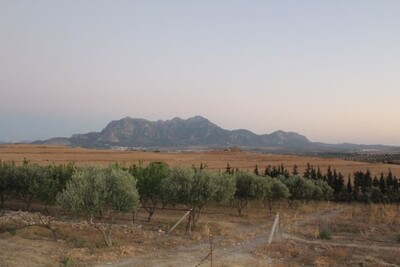 La Ferme IA av à V km de zaghouan