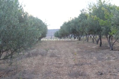 LA FERME 2 Zaghouan À 50Km de Hammamet