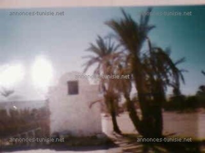 Terrain a seulement 25000 dt
