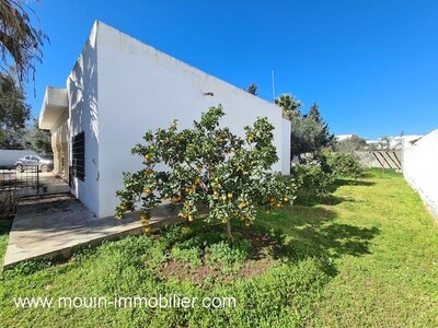 VILLA DANIELLA Hammamet  Zone Theatre A