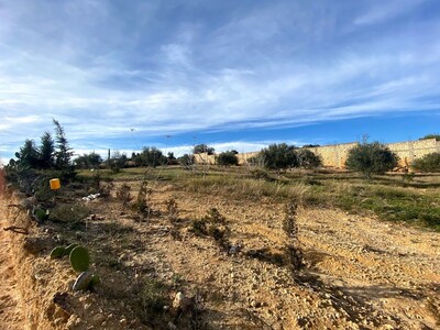 TERRAIN BAYREM Hammamet Birbouregba