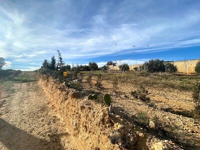 Terrain Bayrem AV à Hammamet Oued Lassoued