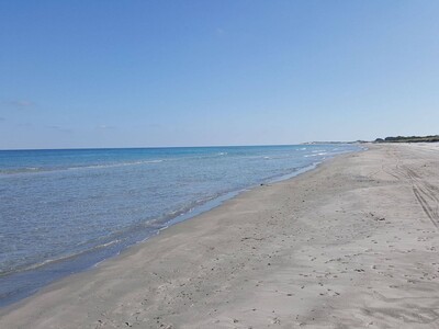 un terrain de 01 ha au bord de la mer
