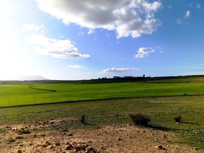 Un terrain AV pour un projet agricole à la compagne d'hamammet