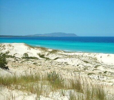 investissement Près de Hammam JEBLI pieds dans l'eau