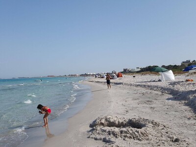 Occasion Terrain vue sur mer Ezzahra kelibia