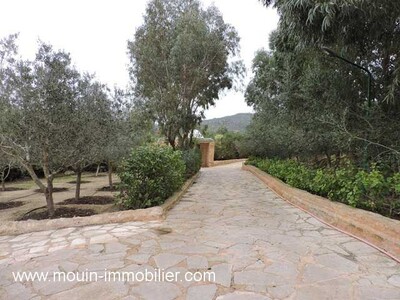 TERRAIN LA DEMEURE I Hammamet  Zone Craxi