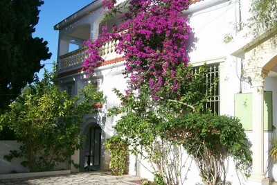 Large villa furnished with large garden area Sindbad