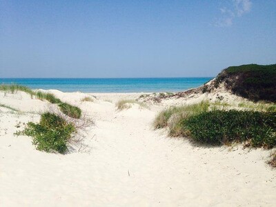 Investis Près de plage Rtiba 01 ha