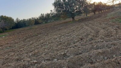 Terrain GHALIA Réf:  à dhouikhla