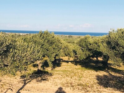 A vendre un lot de terrain a Dhar RA