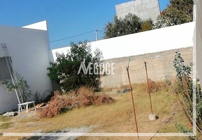 terrain avec permis de Batir à Hammamet Nord