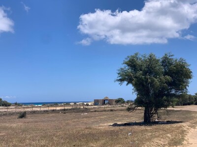 Terrain 500 kelibia mansoura