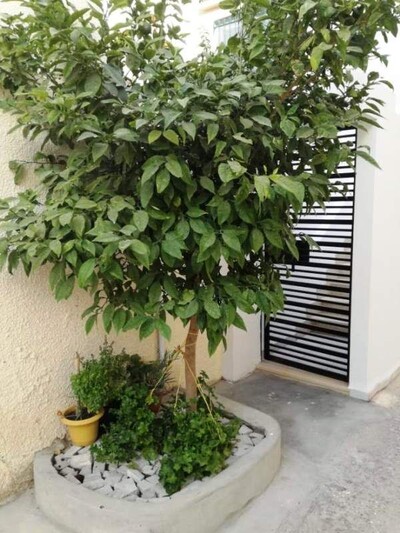 Appartement SIRENA Appartement SIRENA