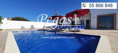 A Vendre Une Villa Luxueuse Avec Piscine à DjerbaMidoun