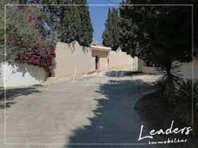 terrain 493 zonne craxci hammamet