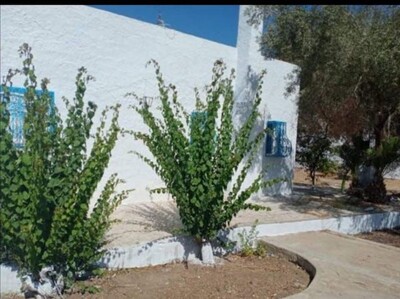 MAISON SENDA Hammamet  Zone Theatre A