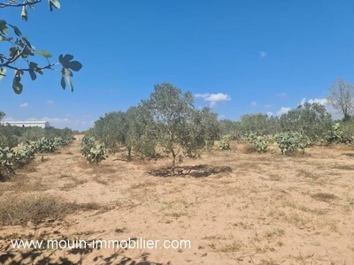 FERME ELECTRA UIU Hammamet Borj Hfaiedh