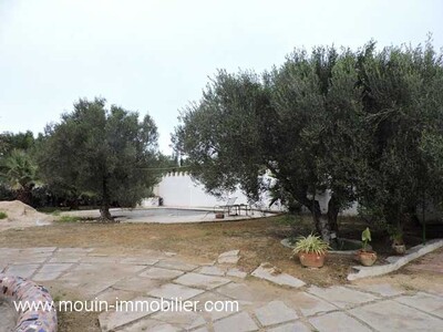 VILLA CITRUS Hammamet Sud A