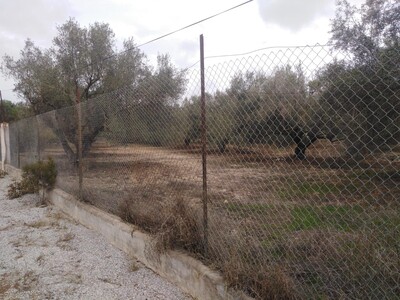 terrain à bâtir zone craxi de hammamet nord