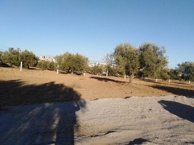 terrain constructible à hammamet yasmine