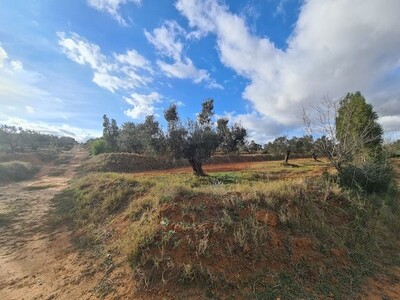 FERME SOULAYMA aa Hammamet  Zone Craxi