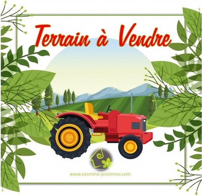 Terrain à Zaghouan :