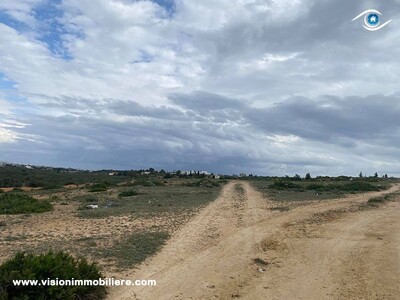 Vente Terrain Mourad