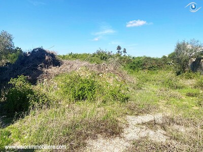 Vente Terrain kalmia