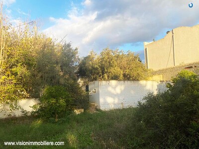 Vente Terrain Tournesol