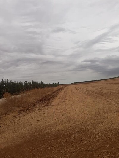 A VENDRE 5 HECTARA A DJEDAIDA