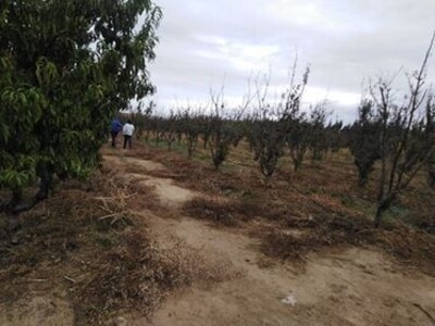 NOTRE AGENCE EL MANAR 2 A VENDRE FERME