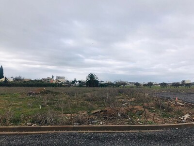 A VENDRE TERRAIN A MORNAGUIA