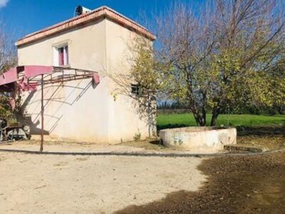 A VENDRE A DJEDAIDA SUR LA ROUTE PRINCIPALE