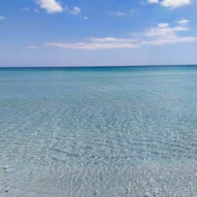 forssa 1ere position a la plage elhawaria