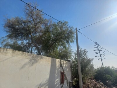 terrain viabilisé situé à Mrezga constructible