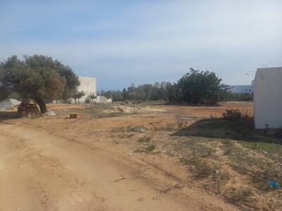 Terrain viabilisé situé à kharrouba de Hammamet Nord