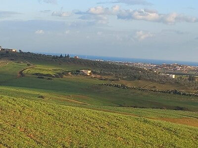 8 hectare à vendre Hammamet Sud