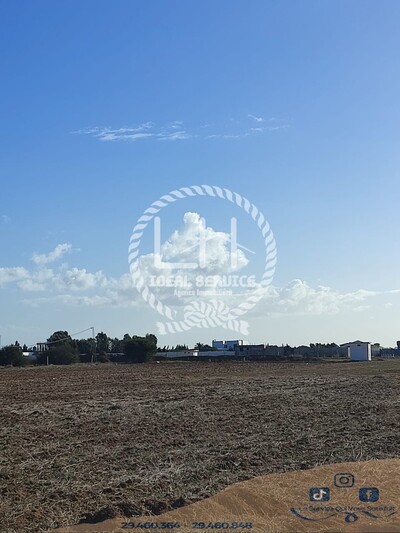 Terrain d'habiation sur la route Hammamet