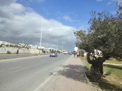 Terrain sur la route principale à Hammamet Nord