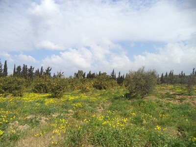av ferme de 15000m à hammamet