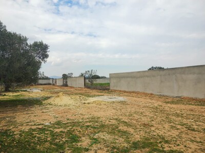 Des lots terrains à vendre de Hammamet