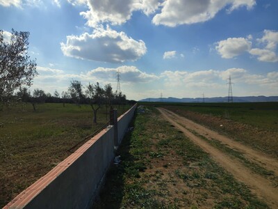 1 hectare à vendre à El Monchar à Hammamet