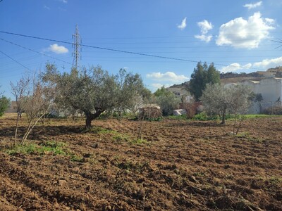 Terrain constructible à Hammamet El Monchar
