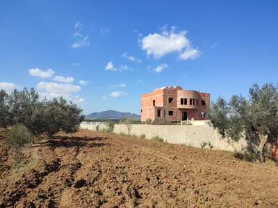 Terrain agricole à vendre à Hammamet  Ville El Monchar