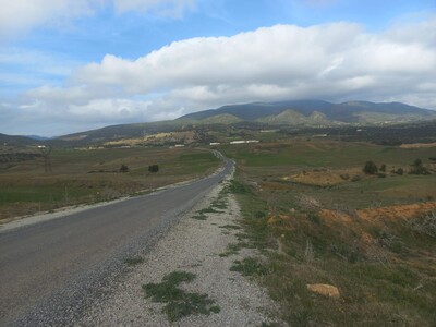 4 hectares à vendre à oued zeet de la ville Zaghouane
