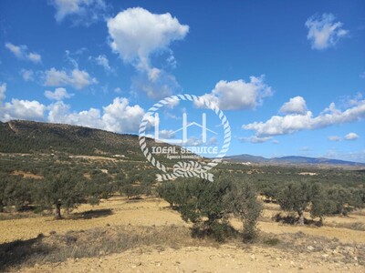 3 hectares à vendre à sidi jedidi