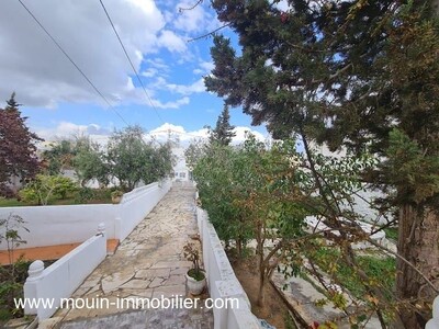 Villa Neirouz Al à Hammamet Nord